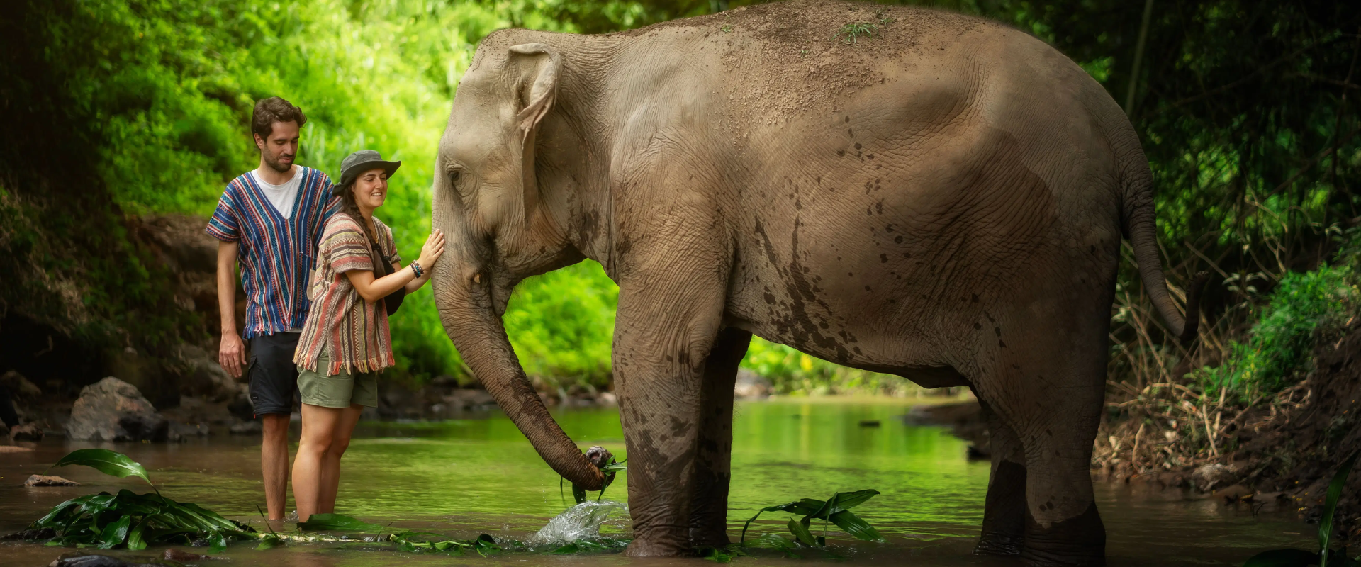 Descubre la belleza salvaje de Chiang Mai